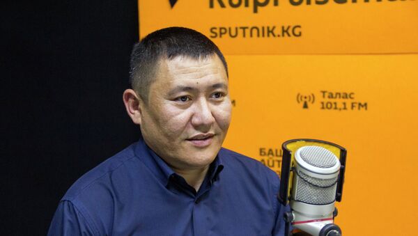 Региональный руководитель одного из коммерческих банков КР Мирлан Малайбек уулу - Sputnik Кыргызстан