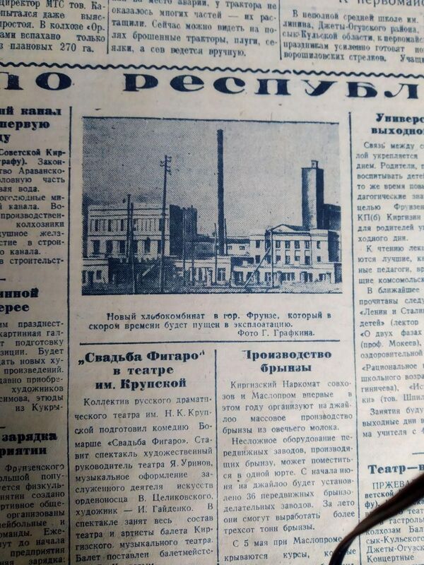 Увидел, как беременная жена пьет водку, и устроил резню — истории 24 апреля в КР - Sputnik Кыргызстан