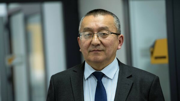 Глава управления налоговой политики Минэкономики Кубан Айдаралиев - Sputnik Кыргызстан