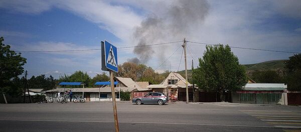 Пожар на территории резиденции Ала-Арча - Sputnik Кыргызстан