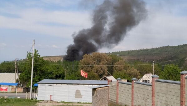 Пожар на территории резиденции Ала-Арча - Sputnik Кыргызстан