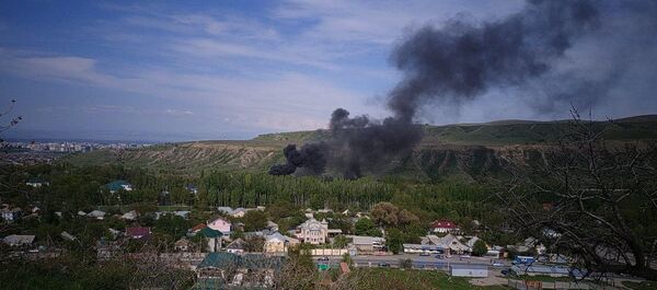 Пожар на территории резиденции Ала-Арча - Sputnik Кыргызстан