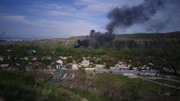 Пожар на территории резиденции Ала-Арча - Sputnik Кыргызстан
