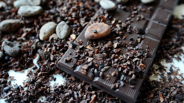 Производство ремесленного шоколада MaRussia в Тамбове  - Sputnik Кыргызстан