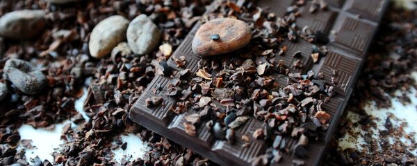 Производство ремесленного шоколада MaRussia в Тамбове  - Sputnik Кыргызстан