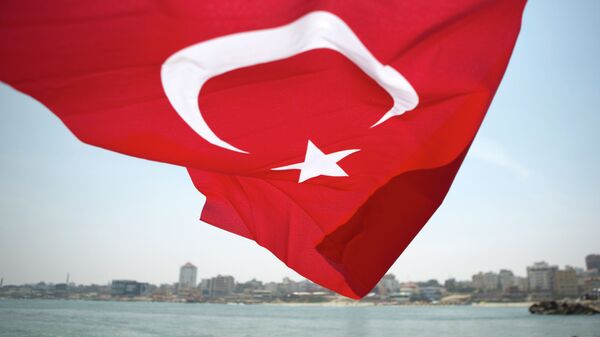 Флаг Турции развевающийся на ветру. Архивное фото - Sputnik Кыргызстан