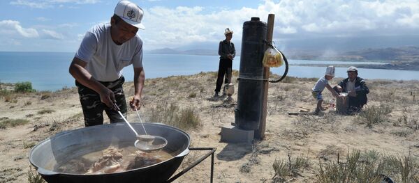 Фестиваль Этно Фест в селе Тон Фестиваль Этно Фест в селе Тон - Sputnik Кыргызстан