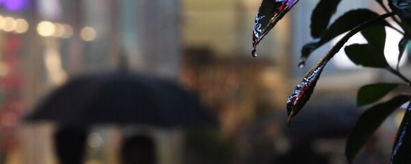 Жамгыр. Архив - Sputnik Кыргызстан