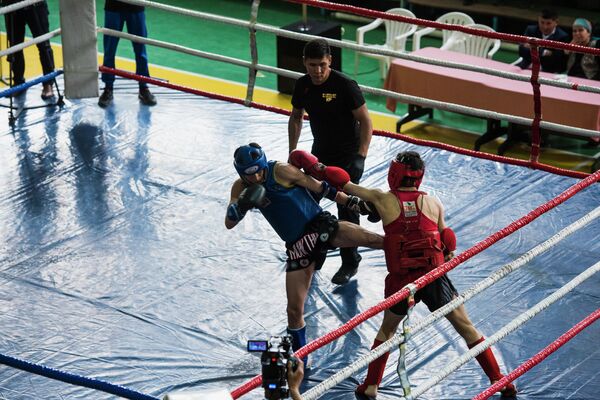 Чемпионат тай бокстун IFMA версиясы боюнча өттү - Sputnik Кыргызстан