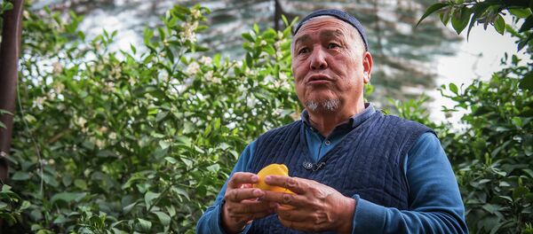 Лонгрид: Не знал, что этот бизнес такой выгодный! Вдохновляющая история фермера из КР Лонгрид: Не знал, что этот бизнес такой выгодный! Вдохновляющая история фермера из КР - Sputnik Кыргызстан