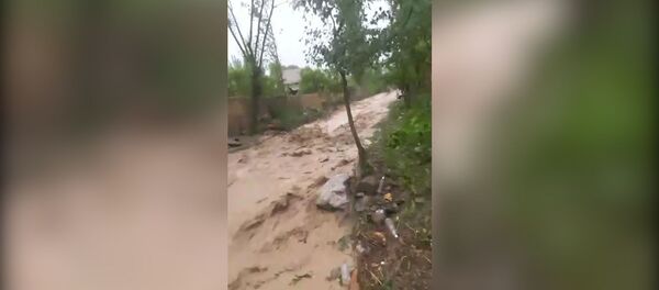 Айылды аралаган сел, суу алдында калган короо-жай. Ноокатта тартылган видео - Sputnik Кыргызстан