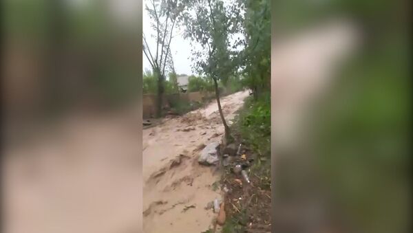 Сель напал на два села в Ошской области — видео - Sputnik Кыргызстан