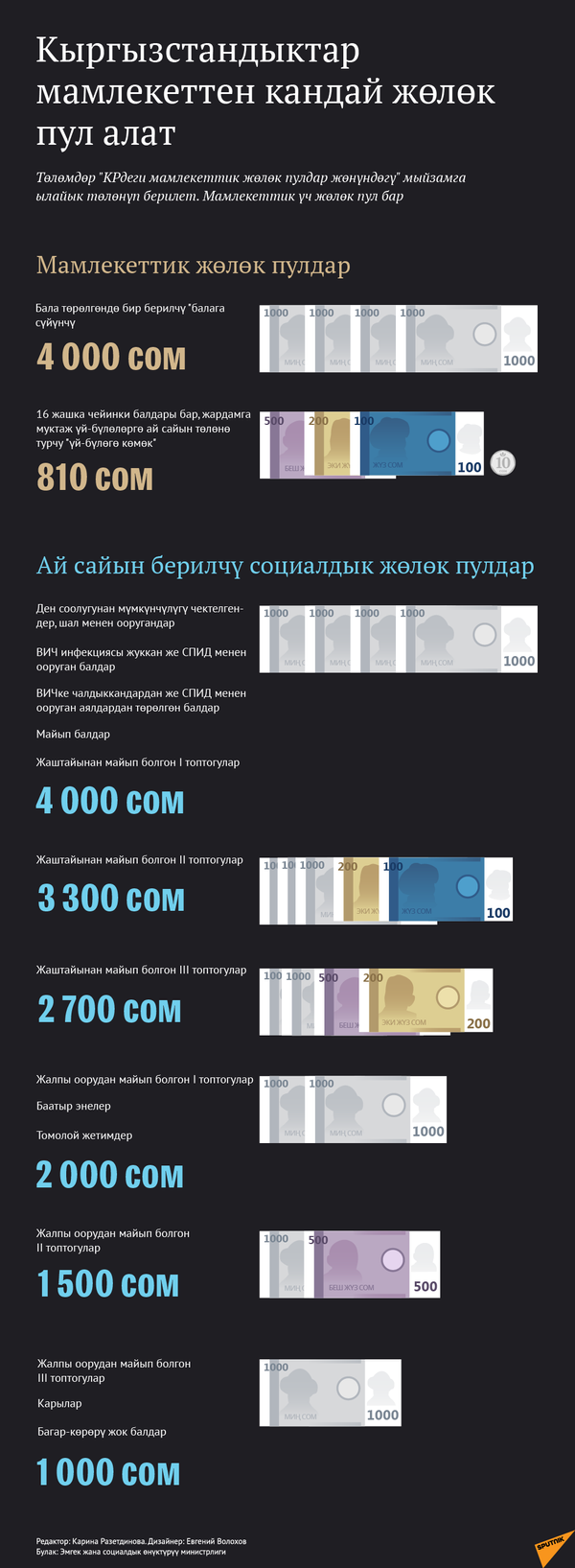Билбей калбаңыз! Мамлекет сизге бере турган акча каражаты - инфографика - Sputnik Кыргызстан