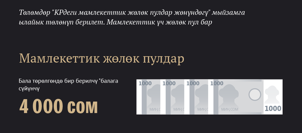 Билбей калбаңыз! Мамлекет сизге бере турган акча каражаты - инфографика - Sputnik Кыргызстан