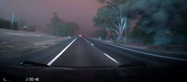 Смелый водитель въехал в гигантскую стену из песчаной бури — жуткое видео - Sputnik Кыргызстан