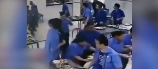 Дикий кабан устроил погром в переполненной людьми столовой. Видео - Sputnik Кыргызстан