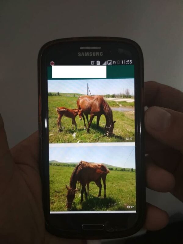 В мечети под Бишкеком украли 12 ковров — фото задержанного - Sputnik Кыргызстан