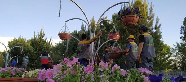 В Бишкеке появились железные конструкции с цветочными горшками, напоминающие вешалки - Sputnik Кыргызстан