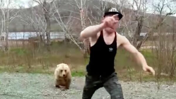 Не поворачивайтесь к зверю спиной! Как медведь погнался за туристом — видео - Sputnik Кыргызстан
