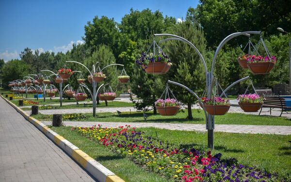 Кроме уже имеющихся клумб, где ежегодно высаживают цветы, на прошлой неделе появились новые. - Sputnik Кыргызстан