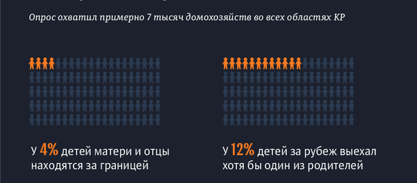Сколько в Кыргызстане детей, родители которых живут за рубежом Сколько в Кыргызстане детей, родители которых живут за рубежом - Sputnik Кыргызстан