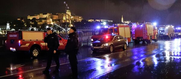 Полицейские и пожарные машины на берегу Дуная в Будапеште (Венгрия) где опрокинулся туристический катер. 29 мая 2019 года Полицейские и пожарные машины на берегу Дуная в Будапеште (Венгрия) где опрокинулся туристический катер. 29 мая 2019 года - Sputnik Кыргызстан