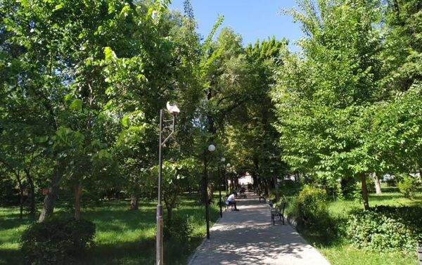 Хулиганы-вандалы разбили фонари в сквере на пересечении улиц Айни и Чапаева - Sputnik Кыргызстан