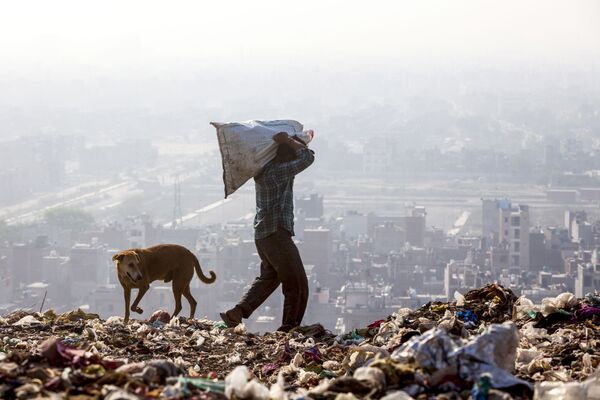 Индиец отбирает вещи на переработку в Нью-Дели, Индия - Sputnik Кыргызстан