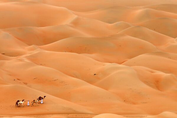 Мужчины с верблюдами проходят через пустыню Хамим, Абу-Даби - Sputnik Кыргызстан
