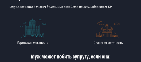 По каким причинам муж вправе поднять руку на жену — мнение кыргызстанок инфографика - Sputnik Кыргызстан