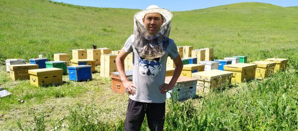 Студент Тилек Жумабеков, занимающийся производством меда - Sputnik Кыргызстан