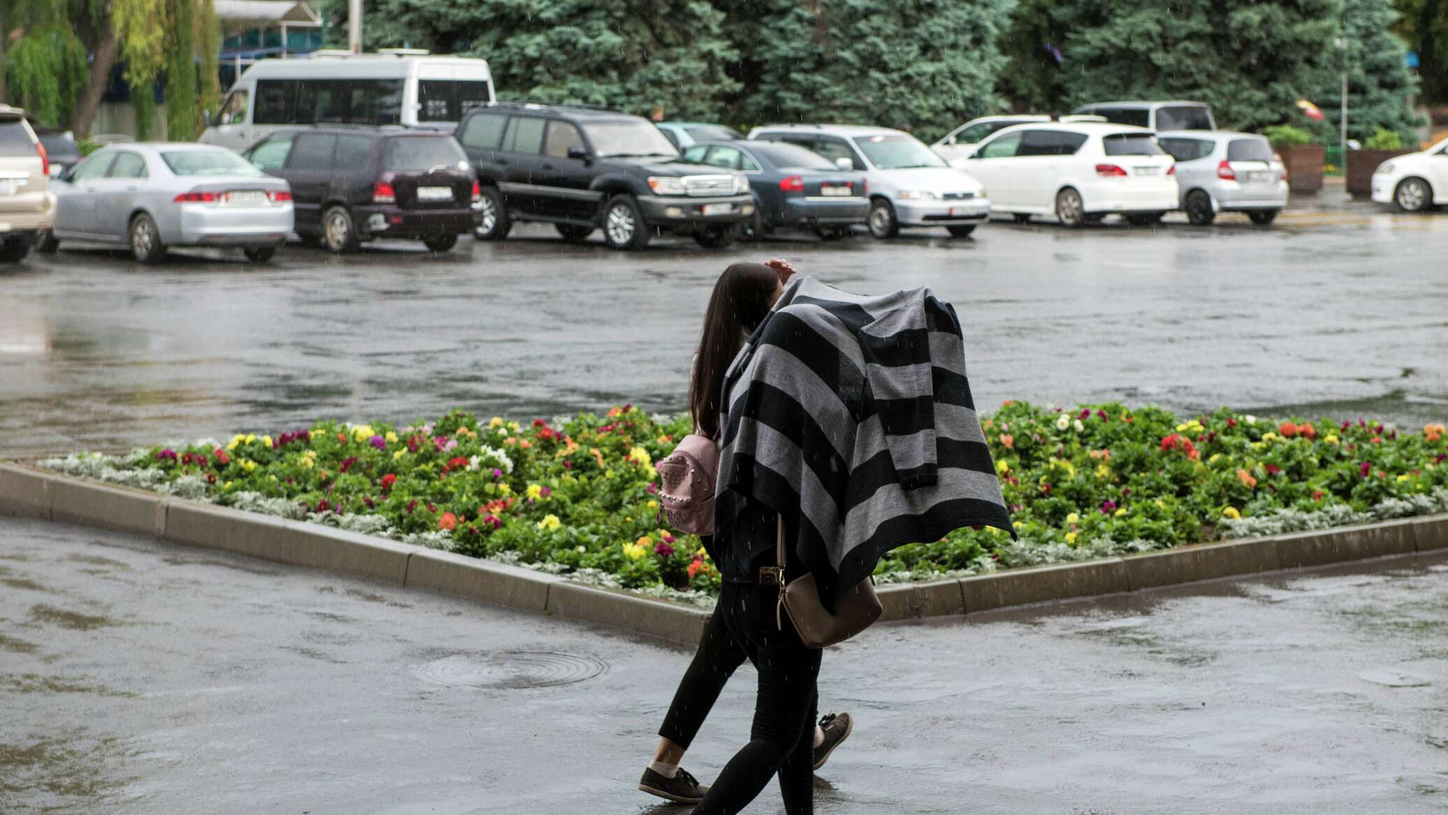 Скоро ли дождь. Дождливый день. Дождливая погода. Дождь в Бишкеке. Ожидаются дожди.
