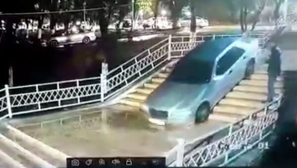 Оштогу жаңы оңдолгон тепкичтен машина айдап түшкөн баланын видеосу - Sputnik Кыргызстан