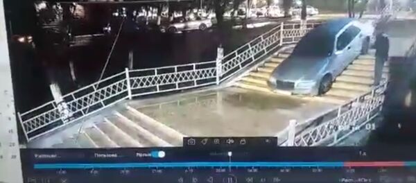 Байкабай калыптыр. Оштогу парктын тепкичинен машина айдаган улан үн катты - Sputnik Кыргызстан