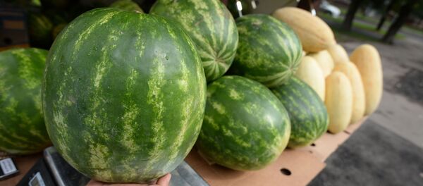 Продажа дынь и арбузов. Архивное фото - Sputnik Кыргызстан