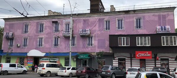 Жилой дом напротив торгового центра Бишкек Парк в Бишкеке, фасад которого прикрыли большим баннером розового цвета - Sputnik Кыргызстан