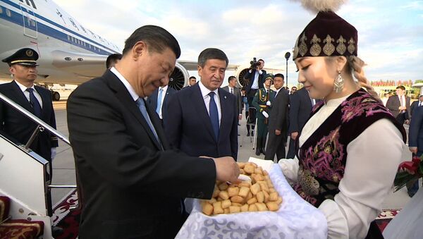 Жээнбеков на китайском приветствовал прибывшего в Кыргызстан Си Цзиньпина. Видео - Sputnik Кыргызстан