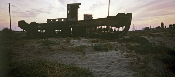 Арал деңизинин түбү. Архив Арал деңизинин түбү. Архив - Sputnik Кыргызстан