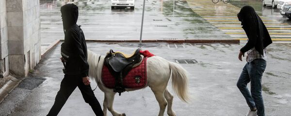 Дожди в Бишкеке - Sputnik Кыргызстан