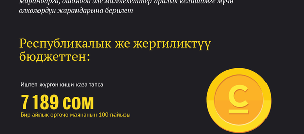 Кыргызстанда сөөк коюуга берилчү жөлөк пул Кыргызстанда сөөк коюуга берилчү жөлөк пул - Sputnik Кыргызстан