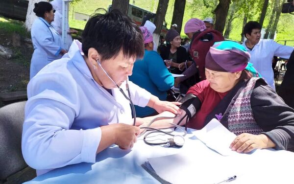 В Джумгальском районе Нарынской области начала работу мобильная медклиника - Sputnik Кыргызстан