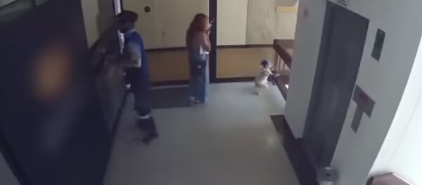 Молниеносная реакция! Мать спасла ребенку жизнь в последнюю секунду. Видео - Sputnik Кыргызстан