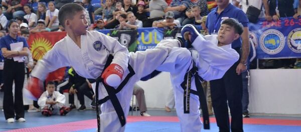 Кыргызстанские спортсмены выиграли 137 медалей на открытом Чемпионате Азии по таэквондо ИТФ в Иссык-Кульской области - Sputnik Кыргызстан