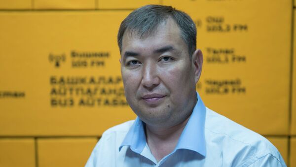 КРдин кой өндүрүүчүлөр коомдук бирикмесинин башчысы Мирлан Сатыбеков - Sputnik Кыргызстан