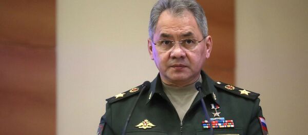 Заседание комитета Госдумы РФ по обороне с участием главы минобороны РФ С. Шойгу  - Sputnik Кыргызстан
