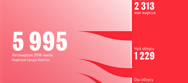 Кыргызстанда канча жол кырсыгы болгон - Sputnik Кыргызстан