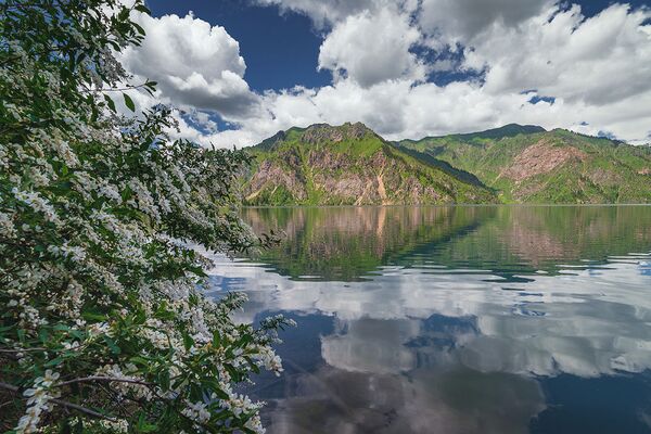 Фотограф Геннадий Закиров предоставил агентству Sputnik Кыргызстан фотографии озера Сары-Челек - Sputnik Кыргызстан