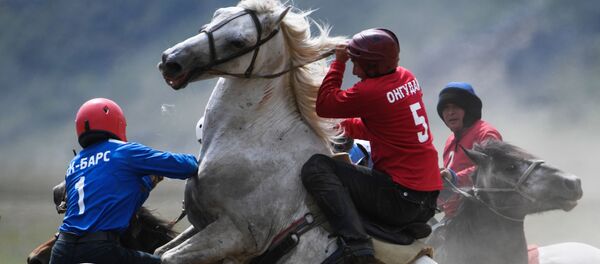 Чемпионат Республики Алтай по национальной игре кок-бору - Sputnik Кыргызстан