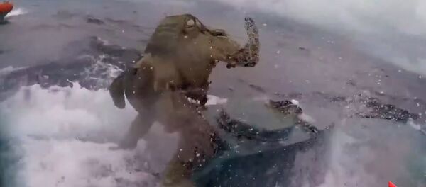 Наркотики перевозят даже на подлодках. Эффектное видео спецоперации в США - Sputnik Кыргызстан