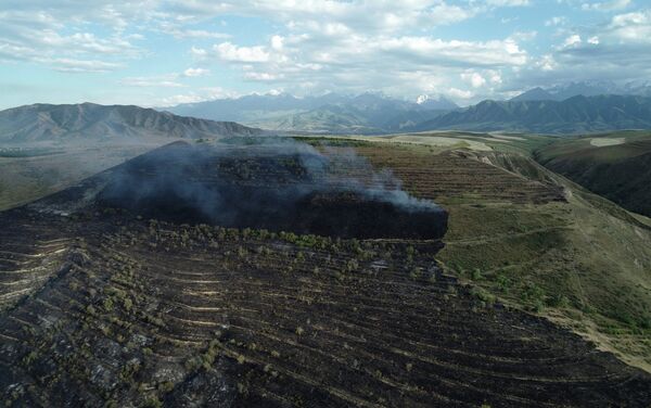 Пресс-служба МЧС сообщила, что пожар произошел сегодня, 14 июля, в 12-м микрорайоне, недалеко от Американского университета в Центральной Азии. - Sputnik Кыргызстан